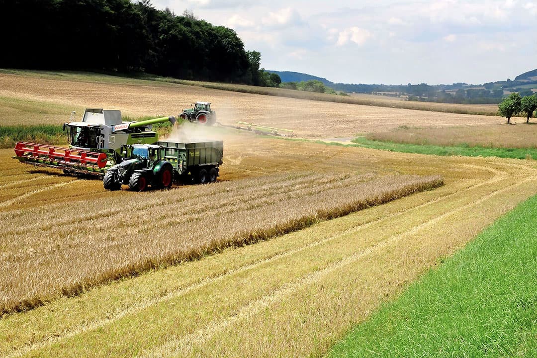 Oogst van tarwe in de Duitse deelstaat Hessen. Foto: Hans Prinsen