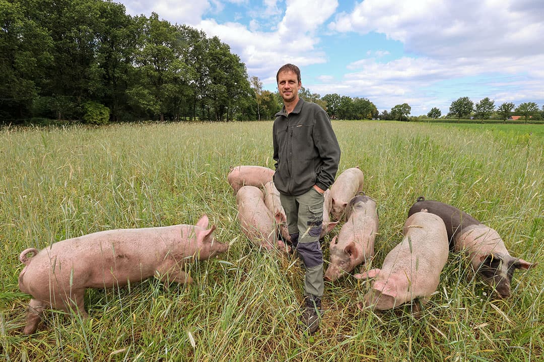 Varkenshouder Ben Bruurs tussen zijn weidevarkens. Hij is een van 150 leveranciers van Boerschappen. Foto: Bert Jansen