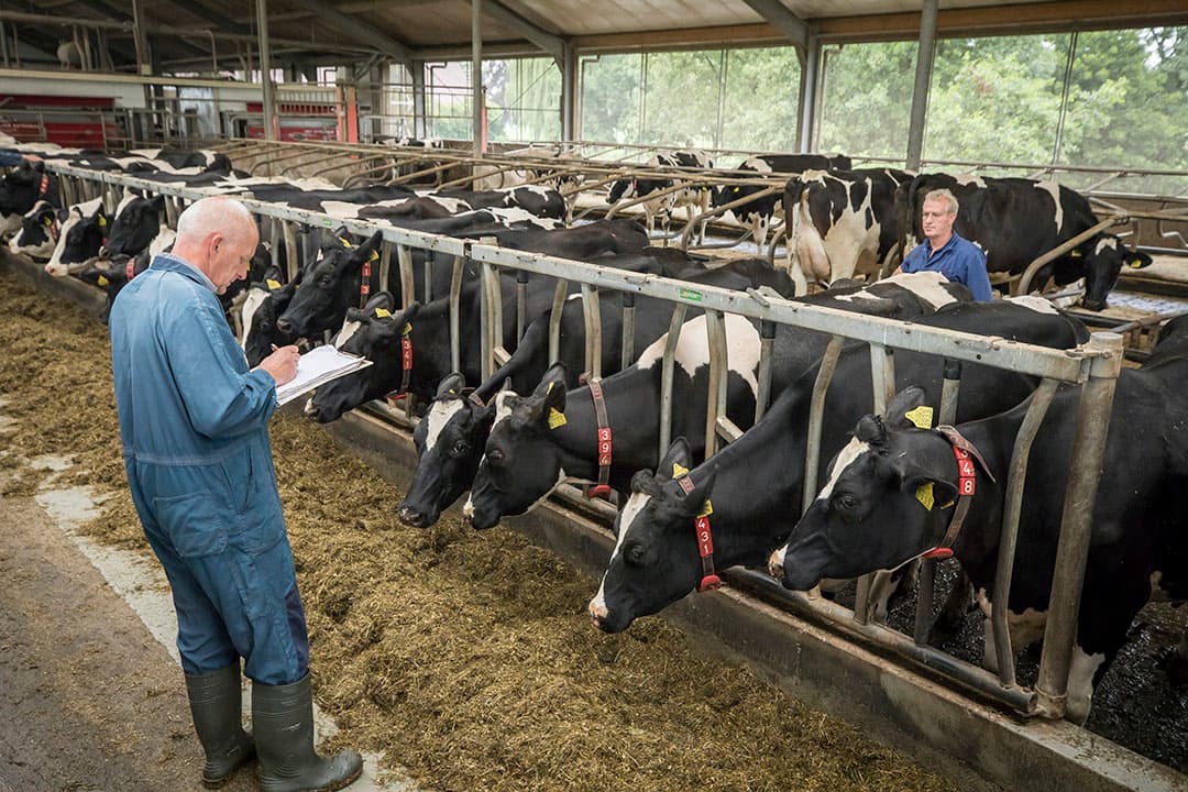 Foto: Koos Groenewold