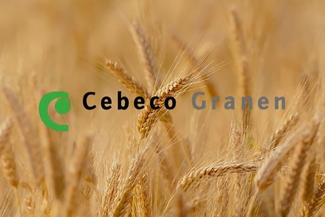Foto: Canva, Logo: Cebeco granen