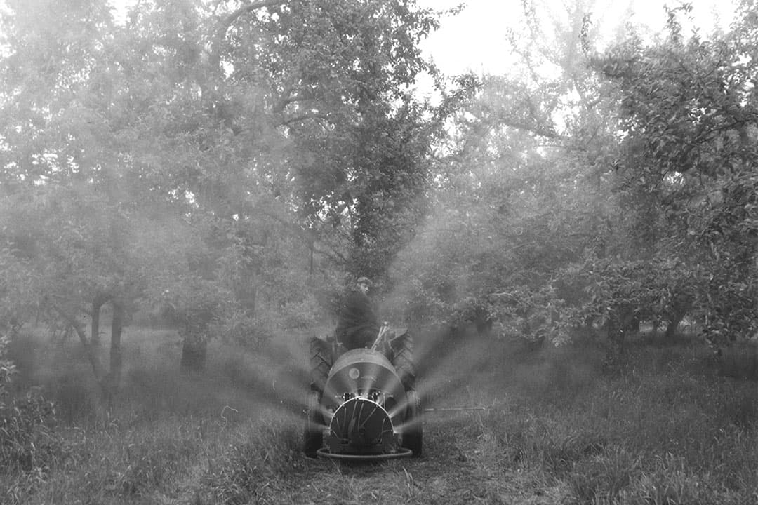 De spuitvloeistof, veelal met koper, kwik en, nóg beter, DDT, werd met deze spuit hoog tussen de fruitbomen verneveld. Voor menselijke veiligheid was destijds amper aandacht. - Foto: Misset