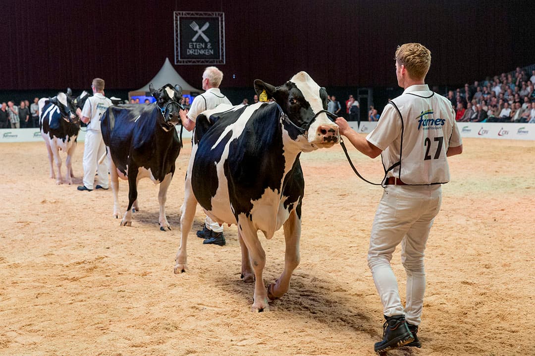 Foto: Koos Groenewold