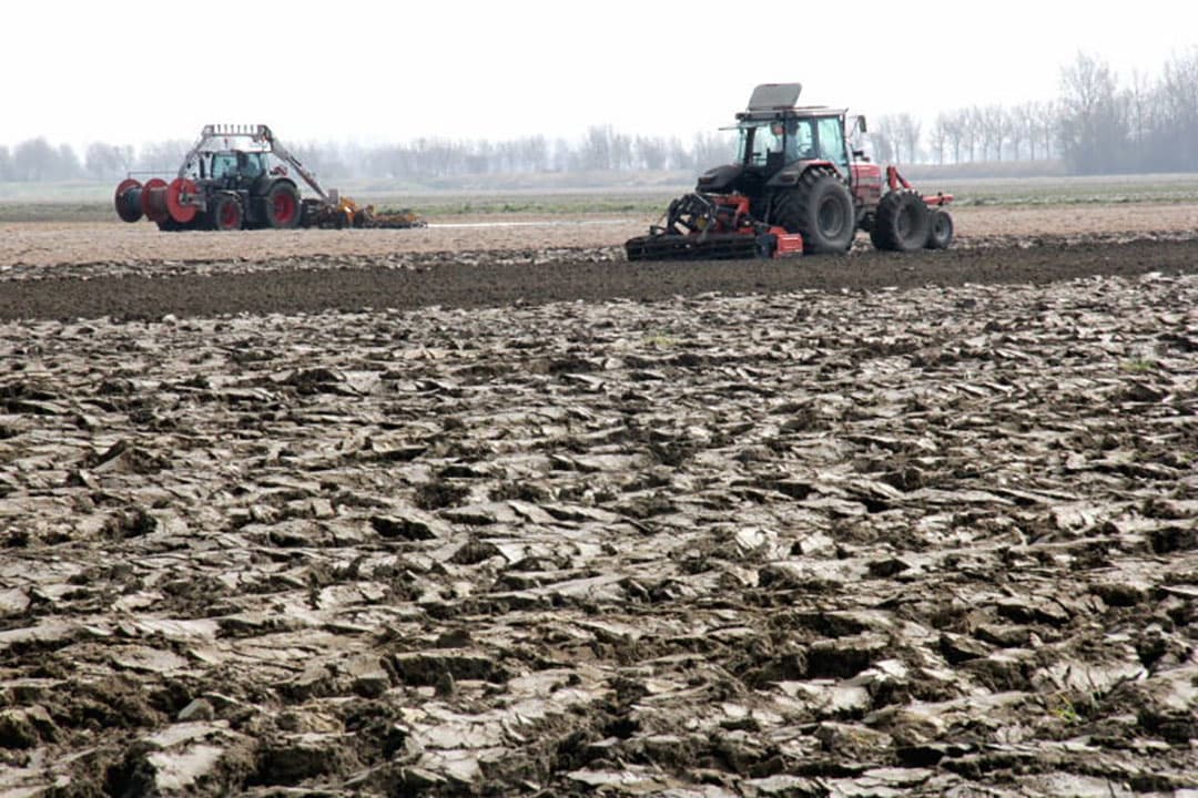 Foto: Anton Dingemanse