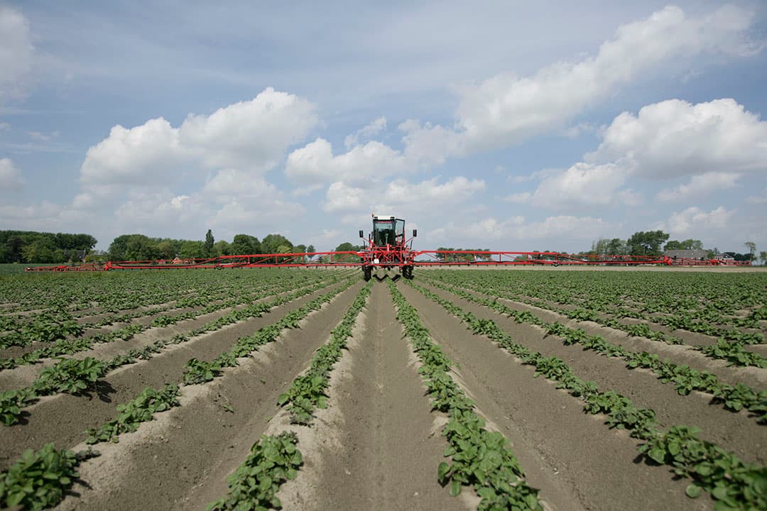 Foto: Koos Groenewold