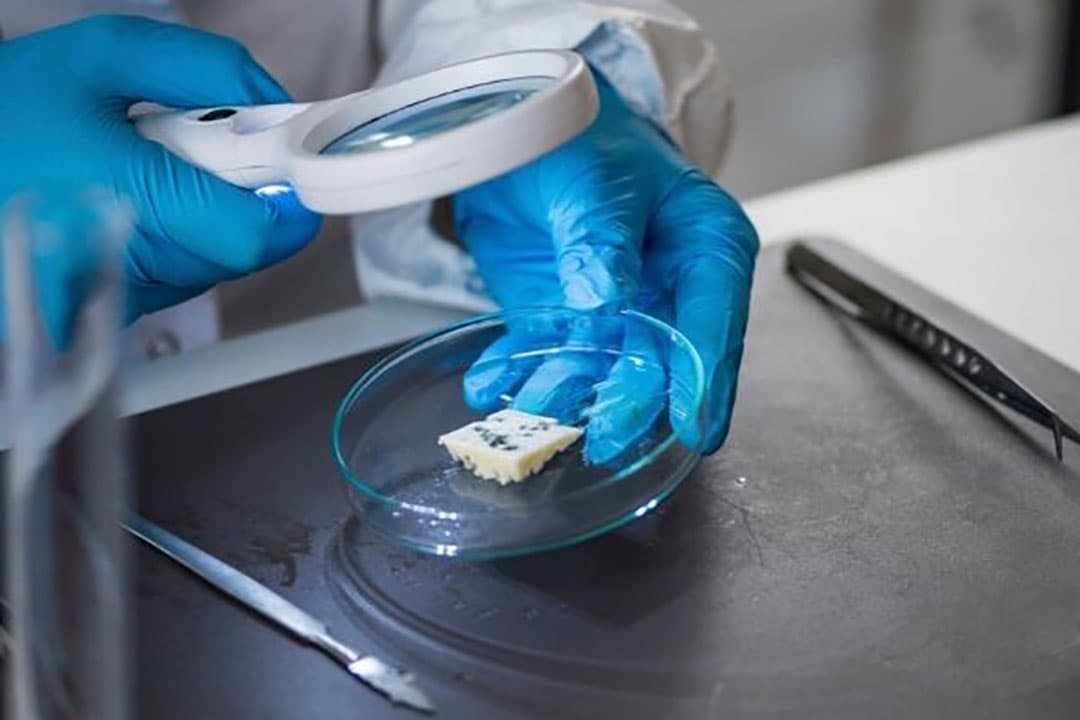 Onderzoek in het laboratorium van Qlip staat nu op een laag pitje, omdat er geen melkveebedrijven worden bezocht voor controle. - Foto: Canva