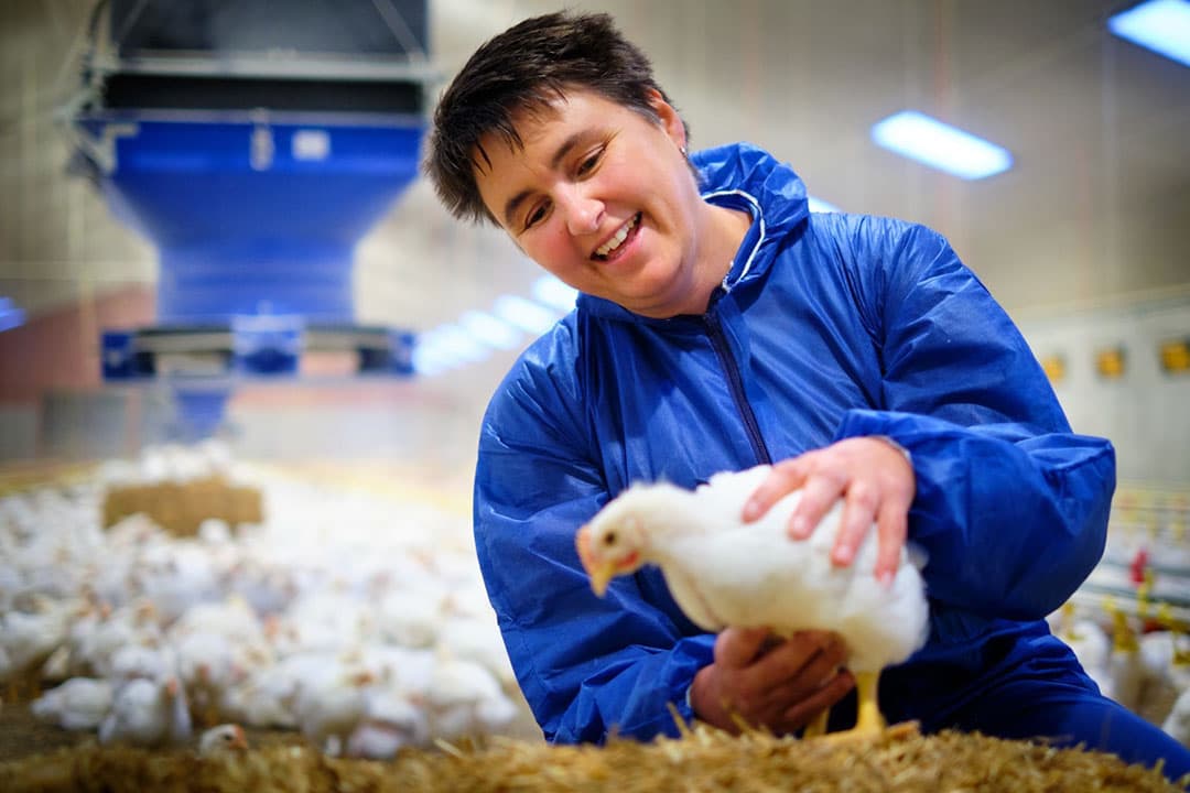 Onderzoeker Ingrid de Jong van Wageningen Livestock Research. - Foto: WLR