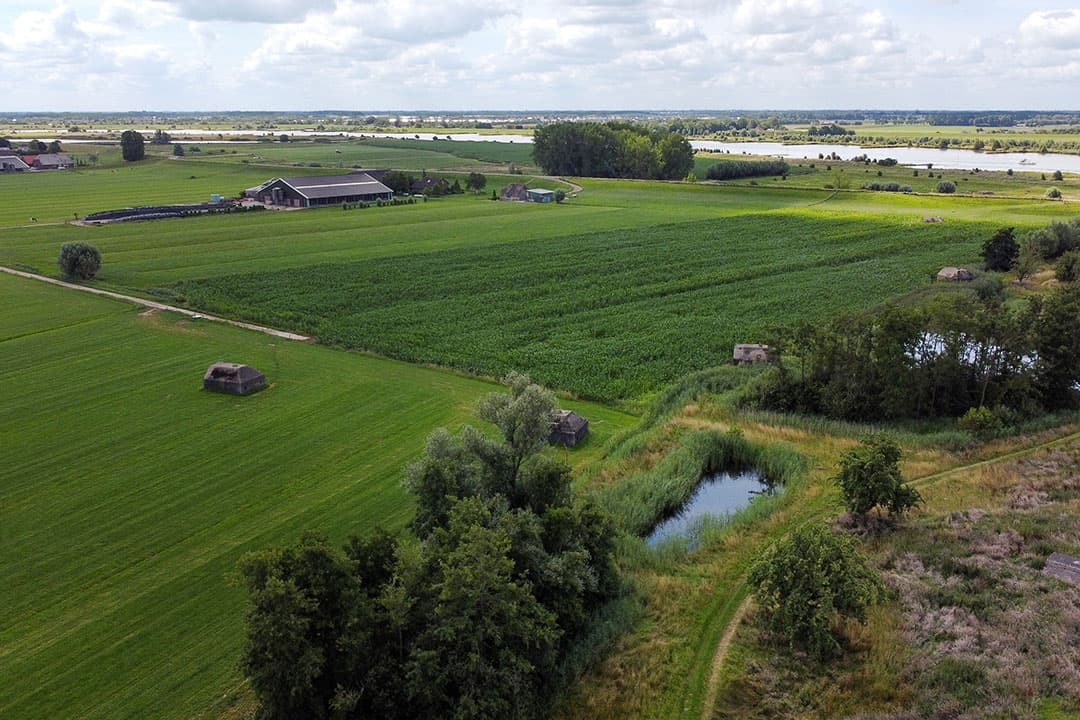 Foto: Herbert Wiggerman