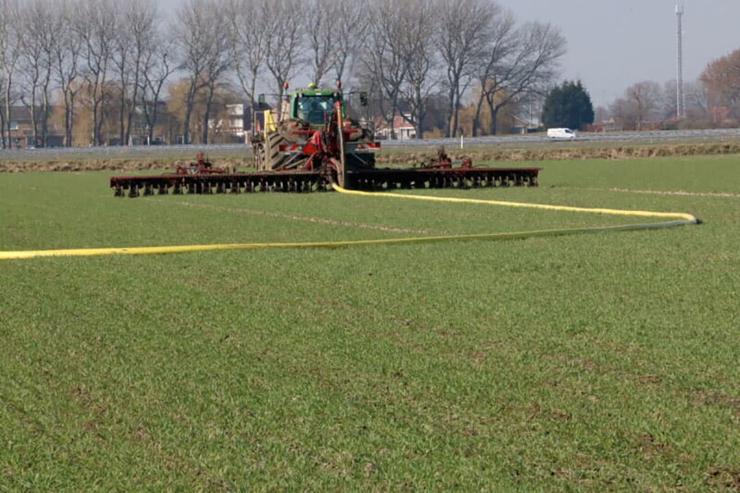 Foto's: Anton Dingemanse
