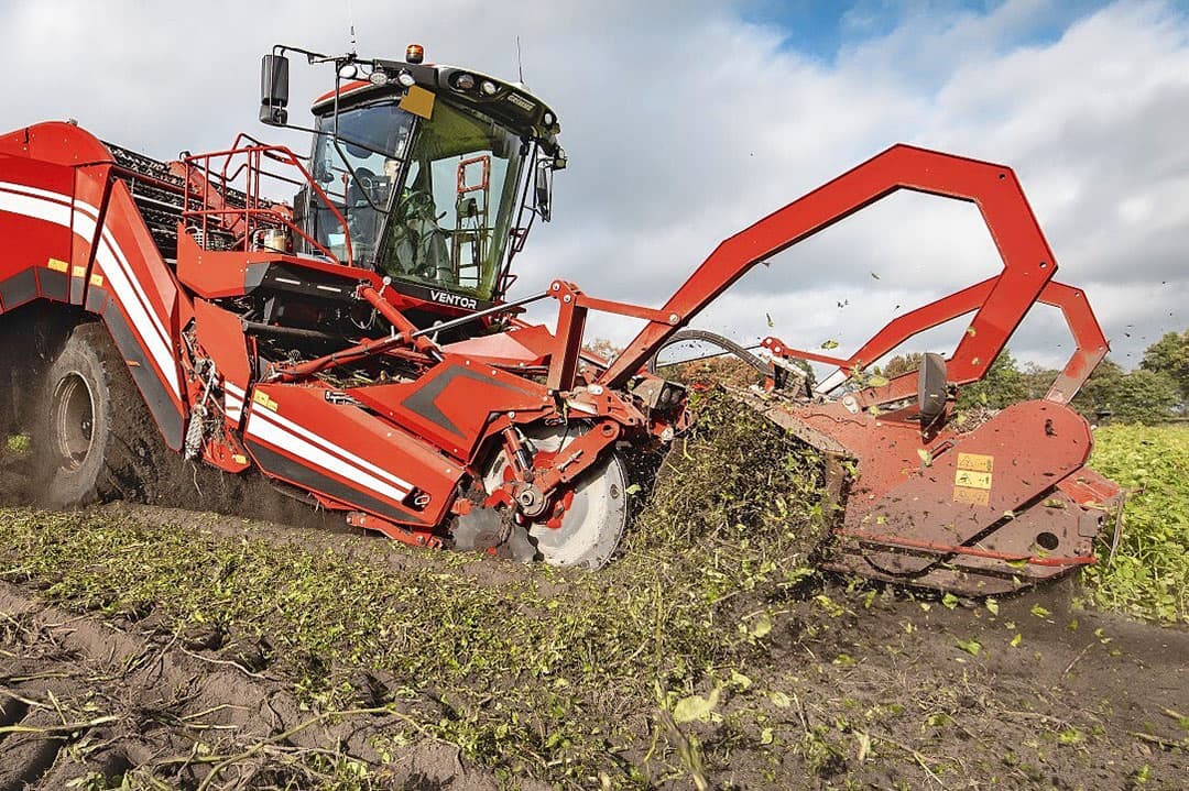 Foto: Grimme