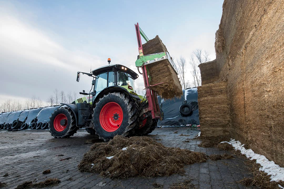 Foto: Fotopersbureau Dijkstra