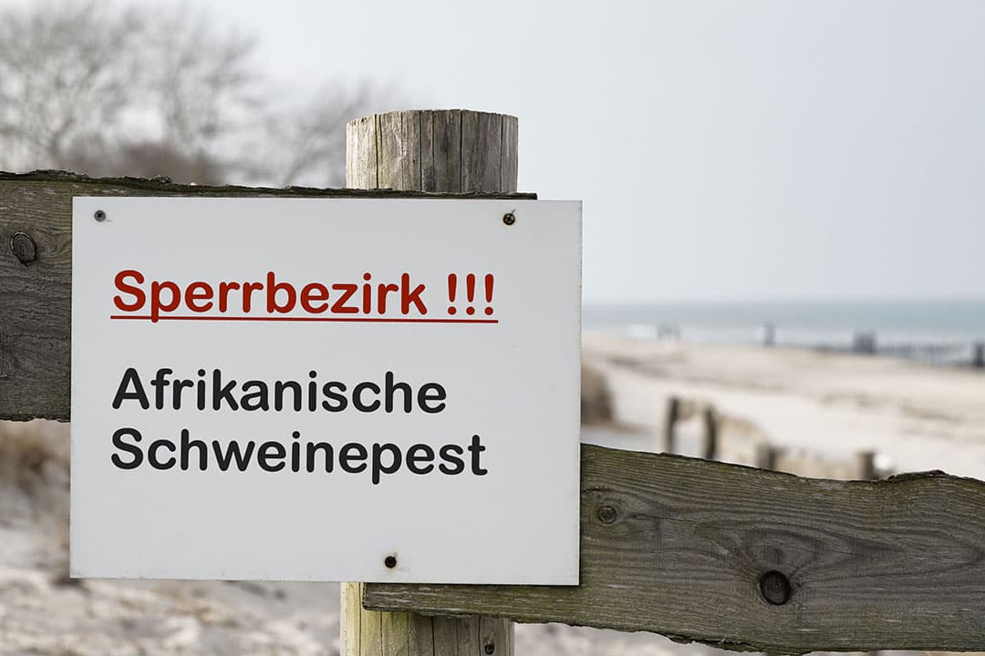 Foto: Canva/Heiko119
