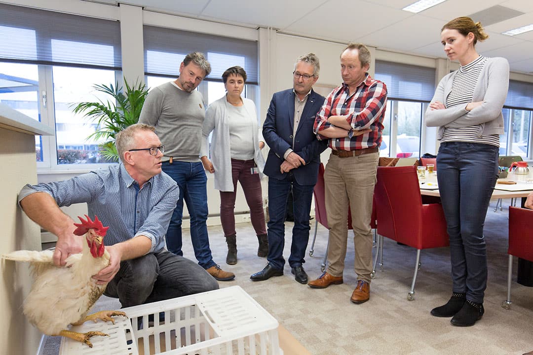 Stuurgroep Ingrepen Pluimvee. - Foto: Herbert Wiggerman