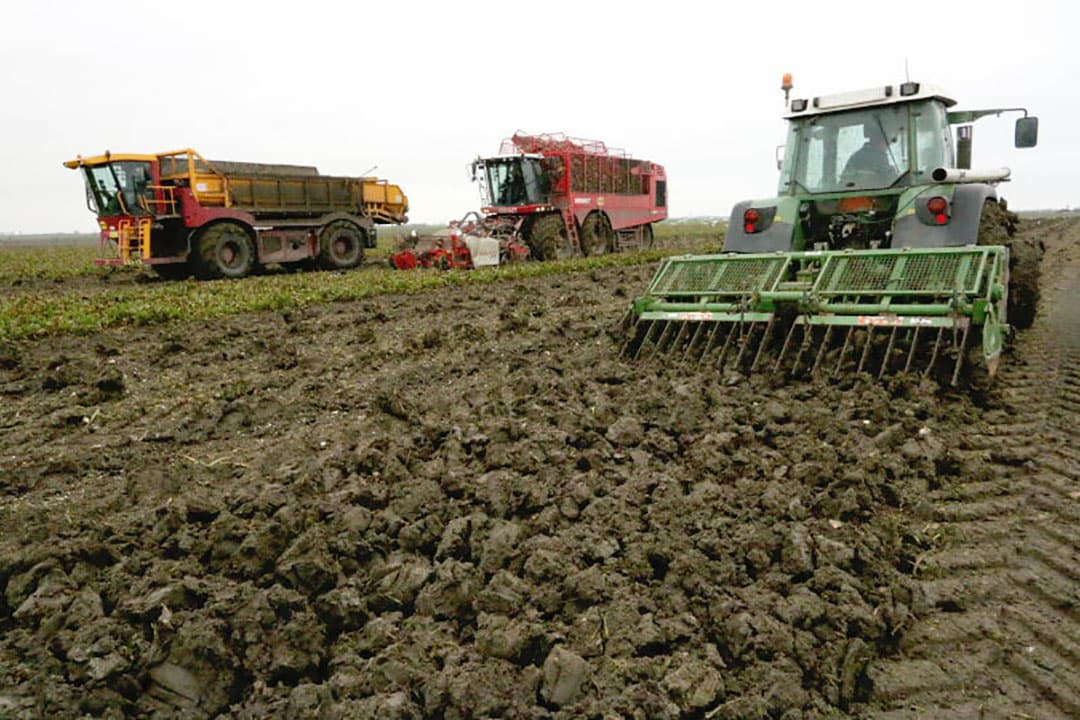 Foto: Anton Dingemanse