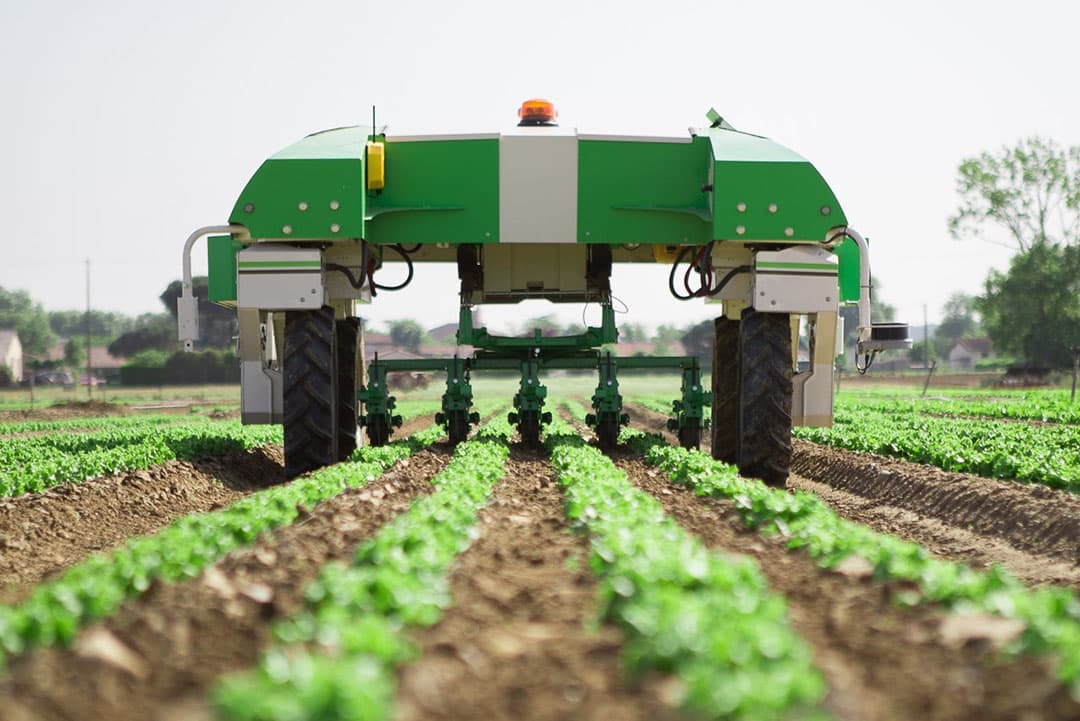 Een robot voor onkruidbestrijding van Naïo Technologies.