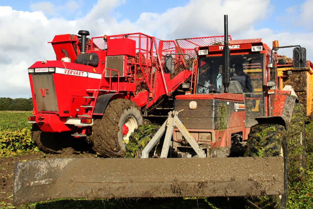De vracht arriveert bij de losplaats op het bedrijf waar al een flinke hoop bieten ligt.