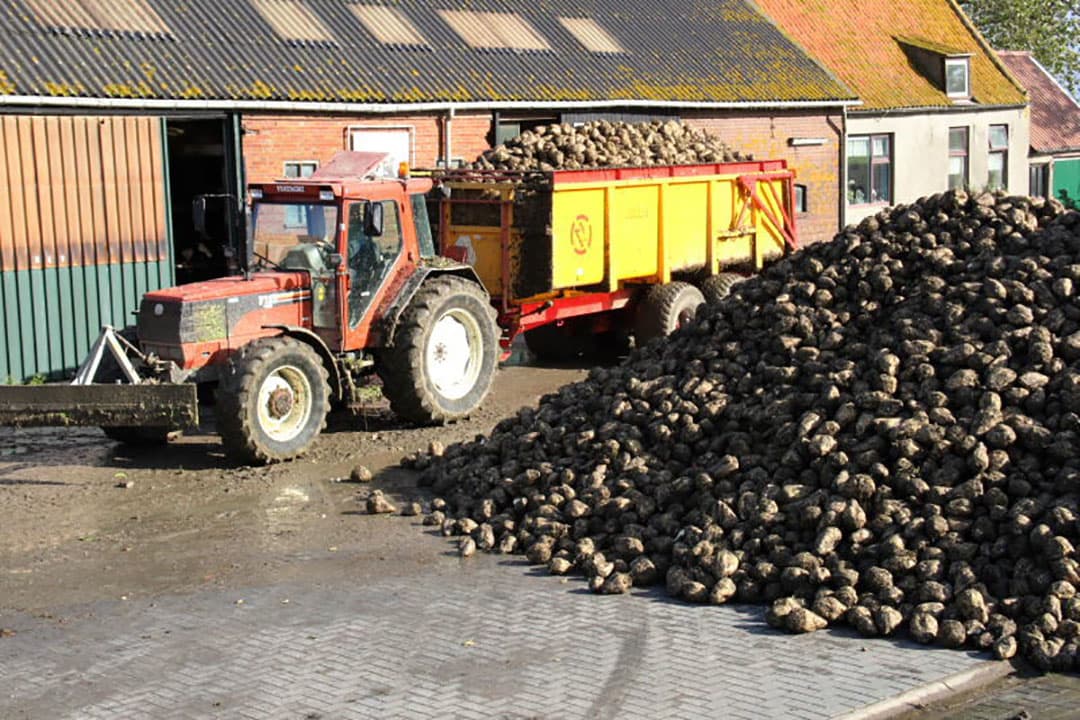 Op deze foto het eigenlijke nut van de overlaadwagen. Links een band van de kieper. De banden van de vrachtcombinatie blijven schoon, omdat die niet op het land hoeven te komen. En rechts banden van de overlaadwagen met aanhangende grond. En dit is nog maar van een keer heen en weer rijden.