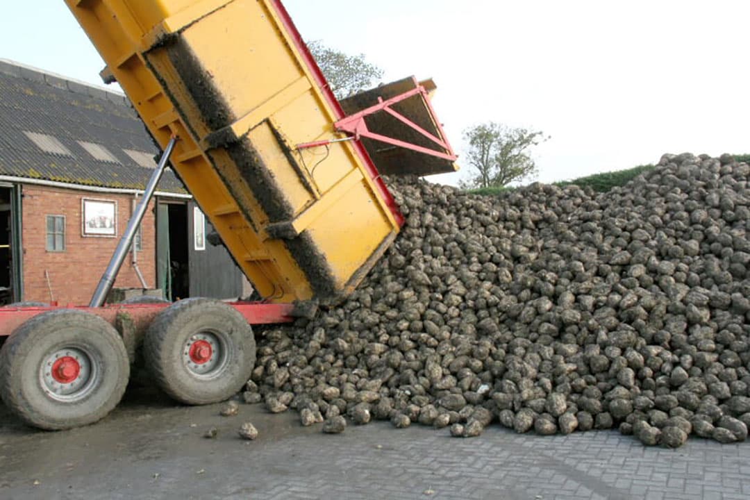 Rond 16.00 uur loste Blok de eerste vracht op zijn losplaats. 's Nachts rond 2.00 uur waren ze klaar met rooien en lag de losplaats vol.