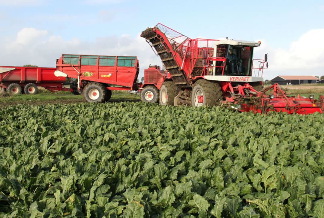 De overlaadwagen is een omgebouwde 'Gilles'-zwadraapwagen. De raapbek, zonnen, vijzel et cetera zijn verwijderd. Op de foto is ook goed te zien dat aan 1 zijde de boordopbouw is weggehaald om de rooierbunker makkelijk te kunnen lossen.