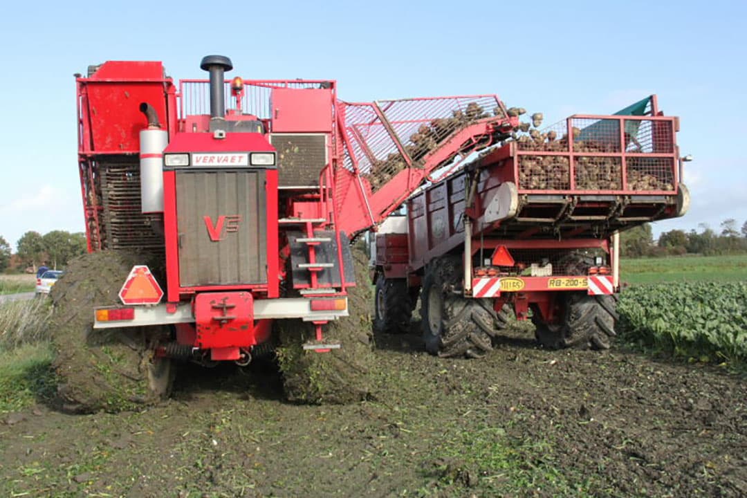 Het deel van het machinepark wat hier ingezet wordt voor het rooien van de bieten, inclusief de kieper van de teler. Vooraan de rooier. Daarachter de overlaadwagen en weer daarachter de vrachtcombinatie.