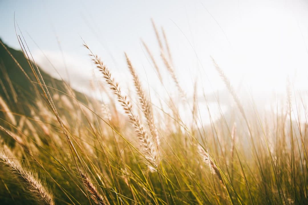 Foto: Tim Johnson op Unsplash