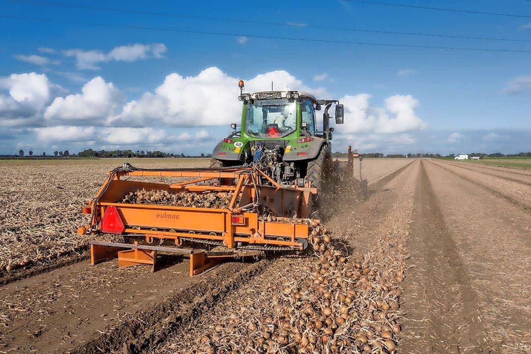 Er wordt om het perceel heen gerooid, waarbij het eerste rondje normaal achter de rooier komt te liggen. Nu, bij het tweede rondje, komen de uien dus op het eerst gerooide zwad terecht. Het opladen gebeurt van binnen uit i.v.m. meer ruimte om voor het zwad te komen waar de rooier eindigde.
