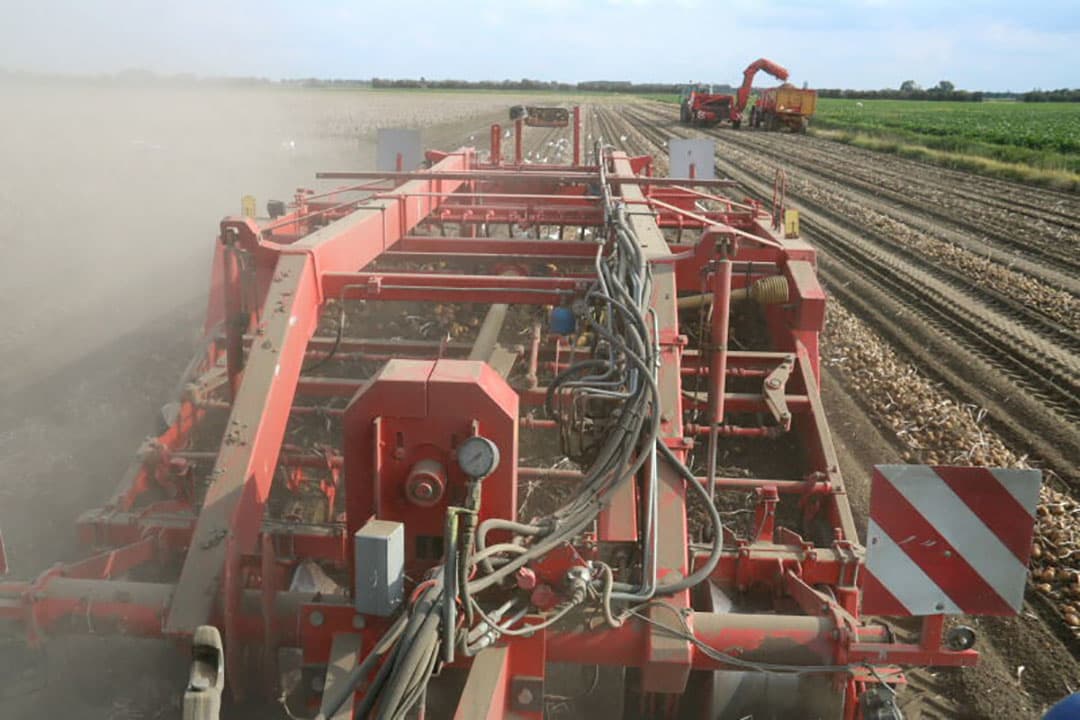 Maatschap van de Velde heeft op het gebied van machines een samenwerkingsverband met collega pootgoedteler maatschap Hanse. Hier staan de jonge boeren Martijn Hanse en Leon van de Velde te overleggen over de werkwijze. Met een extra combinatie erbij is de logistiek toch weer anders, met name bij het rooien en rapen van kopakkers.
