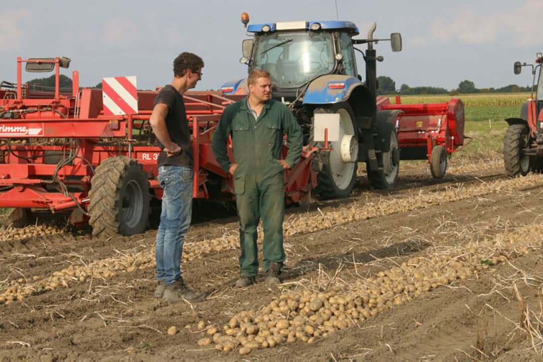 De gefreesde geul om overtollig water af te voeren is dit jaar niet nodig geweest.