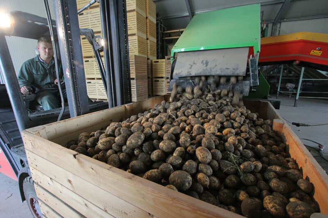 Voor de bewaring van de pootaardappelen bouwde Van de Velde een nieuwe bewaarschuur van ongeveer 950 vierkante meter. De schuur heeft 2 bewaarcellen. Een met een capaciteit van 300 kisten en een cel voor losse opslag. Deze is nog om te bouwen naar een kistenbewaring voor 420 kisten.