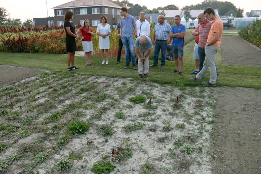Een wat vreemd gewas in deze duurzame tuin is de katoenplant. Door de grote behoefte aan meststoffen en gewasbescherming is dit gewas nauwelijks duurzaam te telen. Daarbij komt nog het grote verschil in klimaat met de reguliere teeltgebieden.