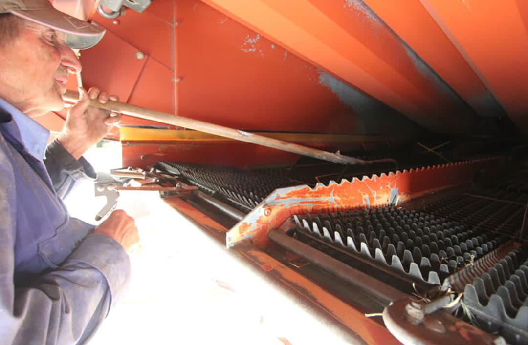 Hoewel de tank nog niet vol is, wordt er in 1 van de 2 gereed staande wagens gelost. Het zaad van de kopakkers en randen wordt apart gehouden omdat hierin meer kans is op vermenging met ongewenste zaden. Dit zaad wordt gebruikt voor de teelt van een groenbemester. Het zaad van de rest van het perceel wordt gebruikt als basiszaad voor de zaadproductie.