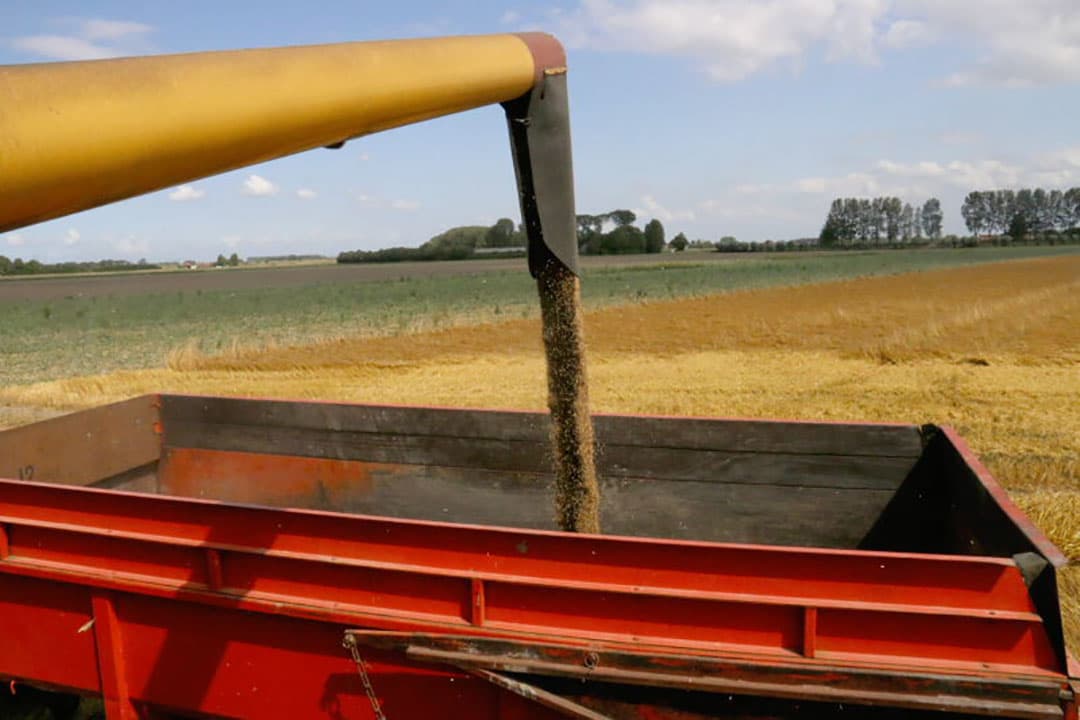 Ook onderaan worden kleppen geopend om met het stof eventuele graankorrels kwijt te raken.