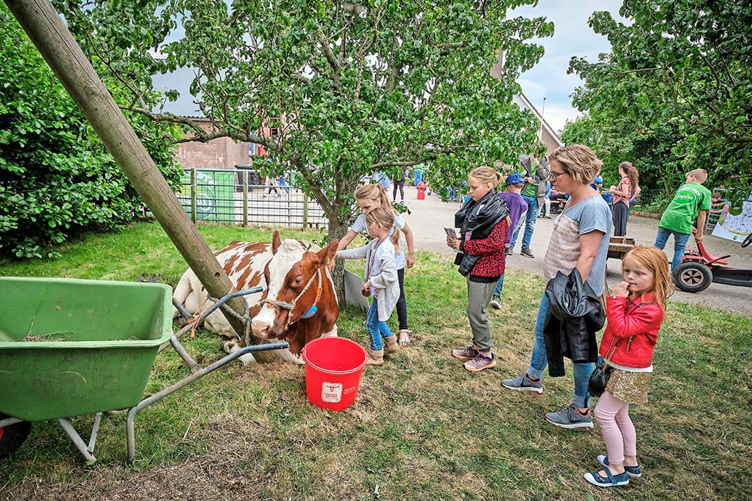 Moerman heeft allerlei machines en trekkers in het land gezet. Op de bordjes die erbij staan, krijgen bezoekers uitleg over de werking van de machines.