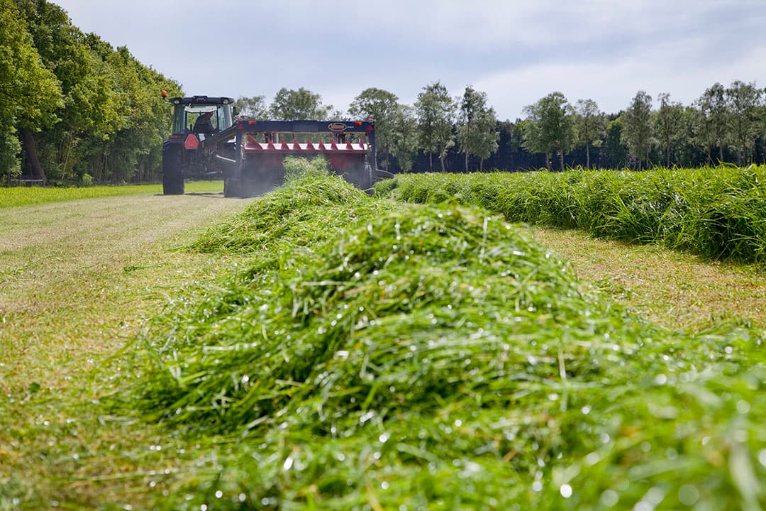 Foto: Jan Willem Schouten