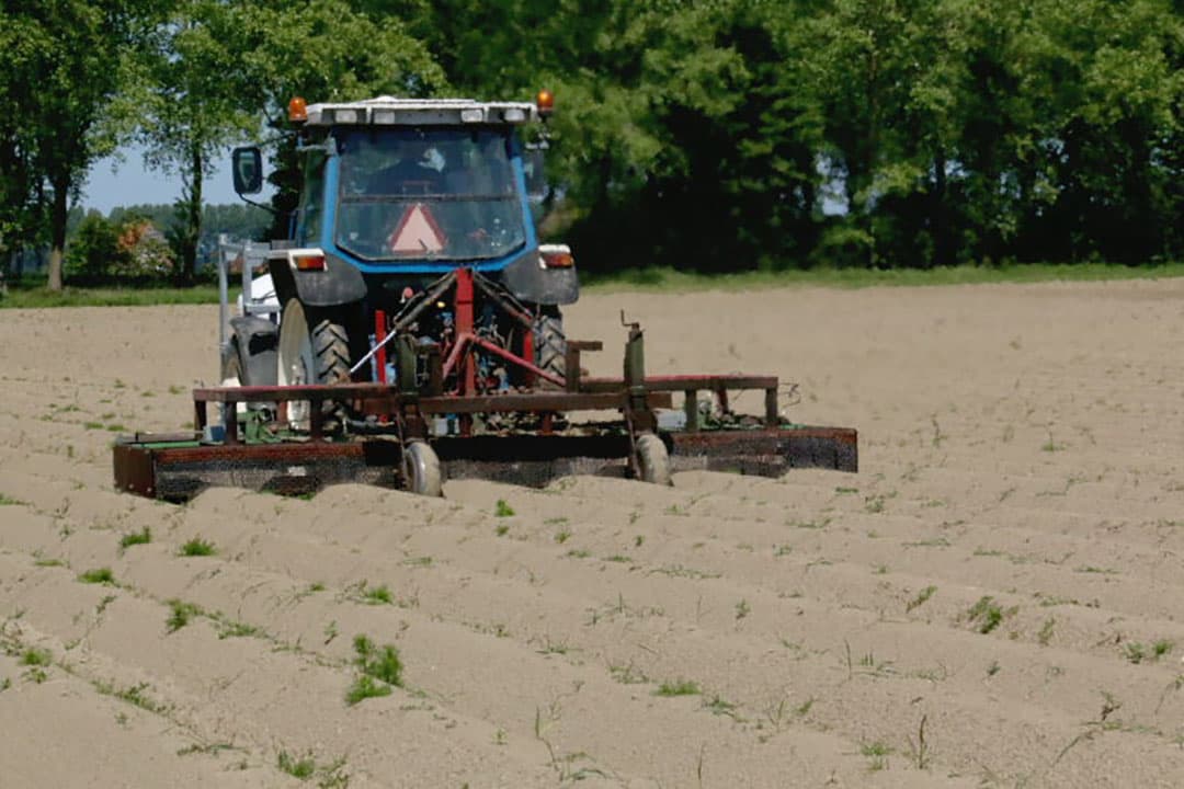 Ondanks het scherpe weer is de gloed van de branders die het onkruid op de rug branden goed waarneembaar.