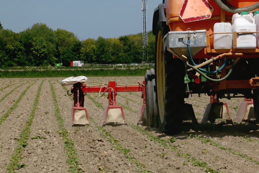 Biologisch teler Miel 'd Haens uit het Zeeuws-Vlaamse Hulst wil eind van de week peen gaan zaaien. Enkele dagen voor het zaaien brandt hij de peenruggen schoon. Voorop de trekker de tank met gas.