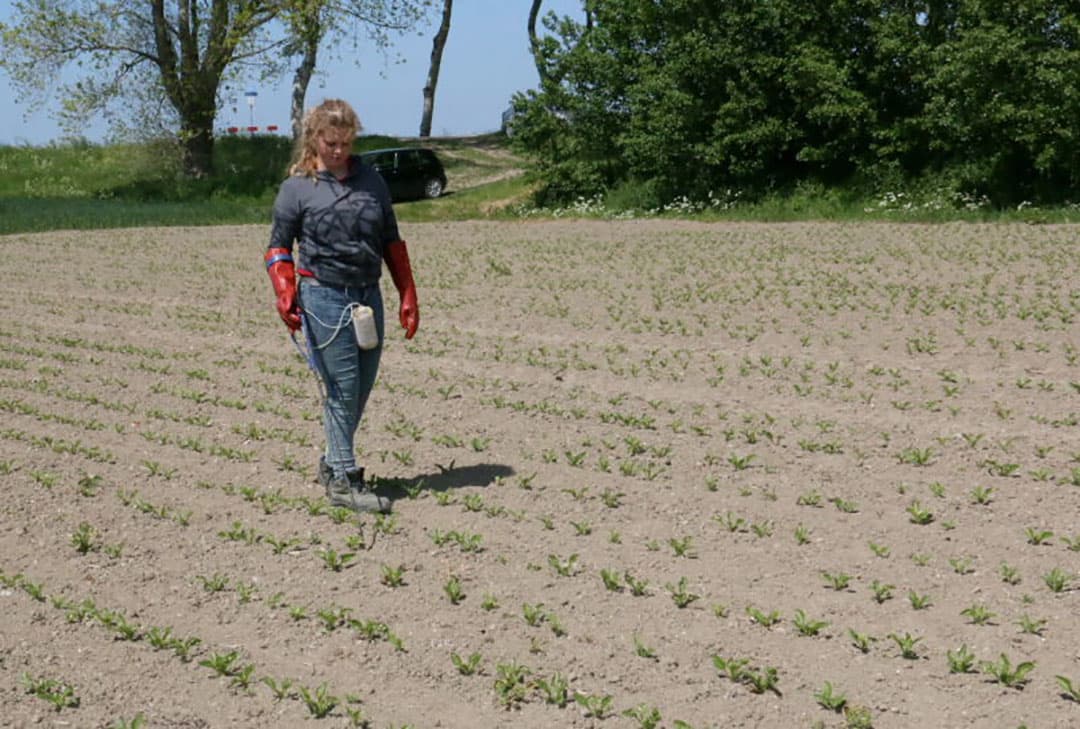 De spuitcombinatie kan weer een aantal baantjes doen.