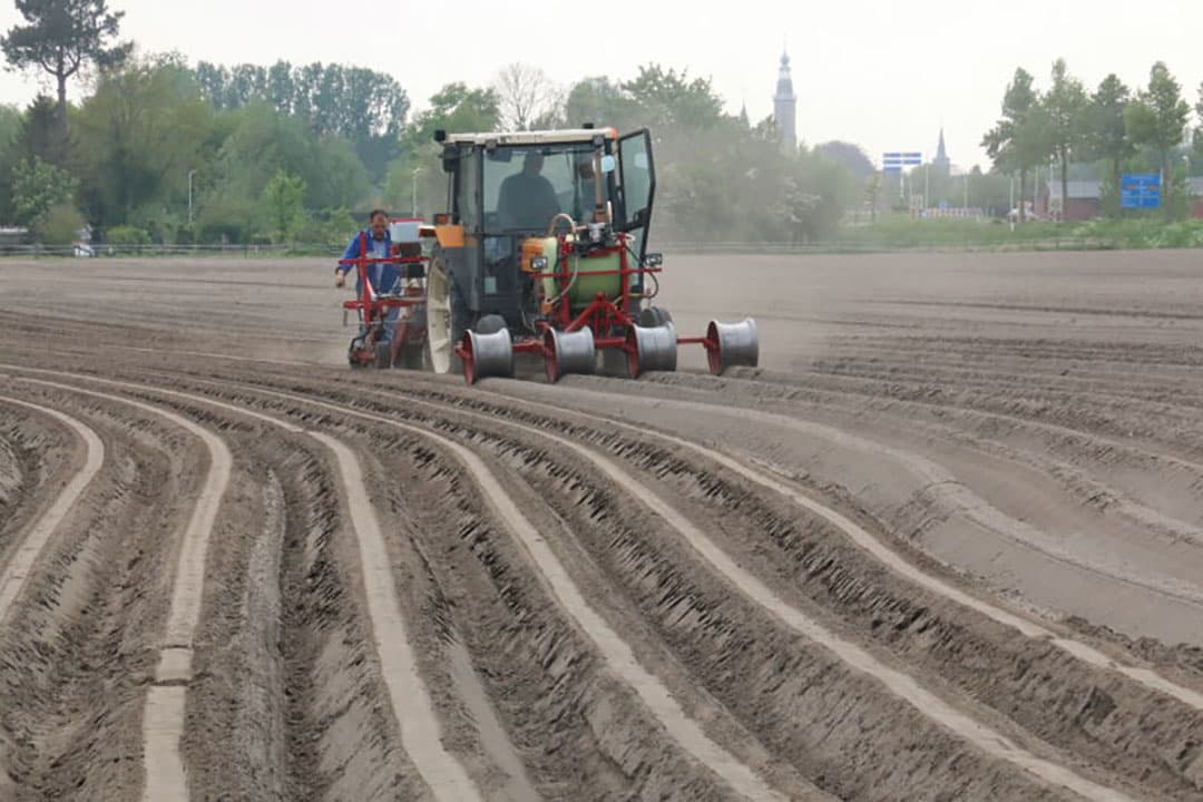 De zaaischijf heeft 3 zaadrijen. De binnenste zaadrij telt 125 gaatjes, het zaad hiervan komt in het middelste zaaispoor terwijl de buitenste rijen 170 gaatjes tellen en dus de buitenste rijtjes zaaien. Bij breedwerpig zaaien valt het zaad op de verdeler in de zaaikouter en zorgt zo voor een willekeurig zaaibeeld op de rug.