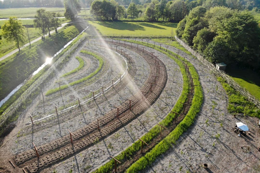 Foto: Den Food Bosch