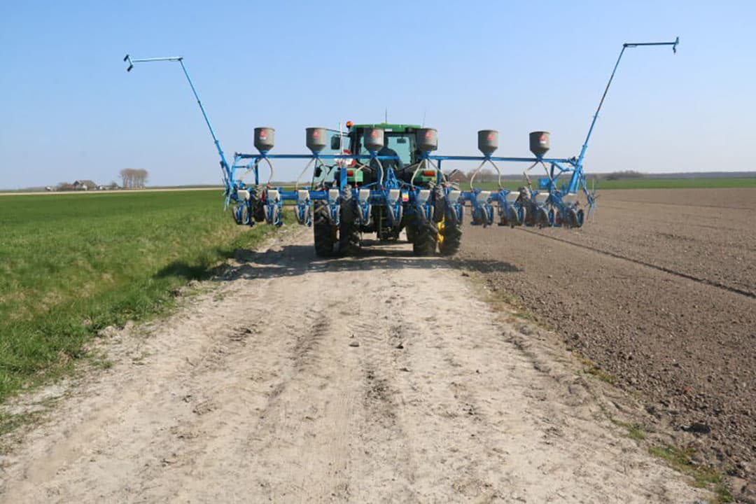 Op dit perceel werd gras voor de drogerij geteeld. Dit is eerst gespit. Nu is de grond goed genoeg om de aardappelen te poten.