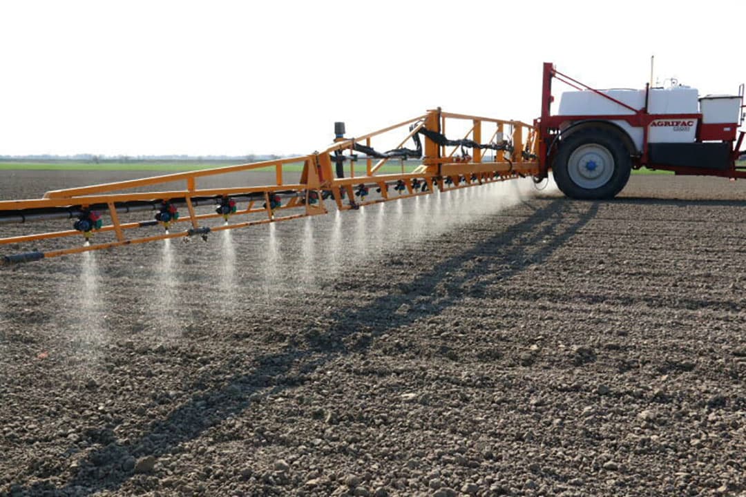 Op een perceel van Peter Dieleman zaait Van Stee uit Lewedorp peen. Dit perceel werd enkele jaren geleden diep gespit om de ongeveer 30 centimeter klei van de bovenlaag te mengen met het zand daaronder om zo de structuur te verbeteren.