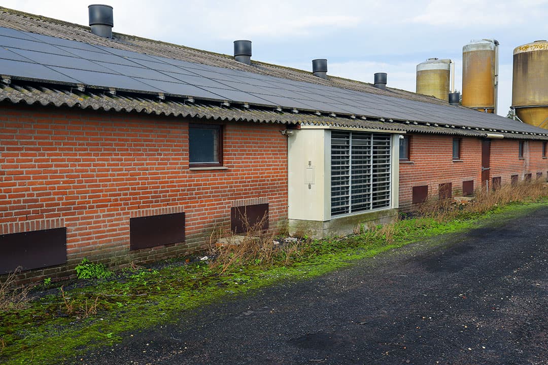 Zonnepanelen op het dak als duurzaam alternatief voor elektriciteit en een warmtepomp dat via een warmtewisselaar de inkomende lucht naar de centrale gang opwarmt vervangt de aansluiting van aardgas. - Foto: Bert Jansen