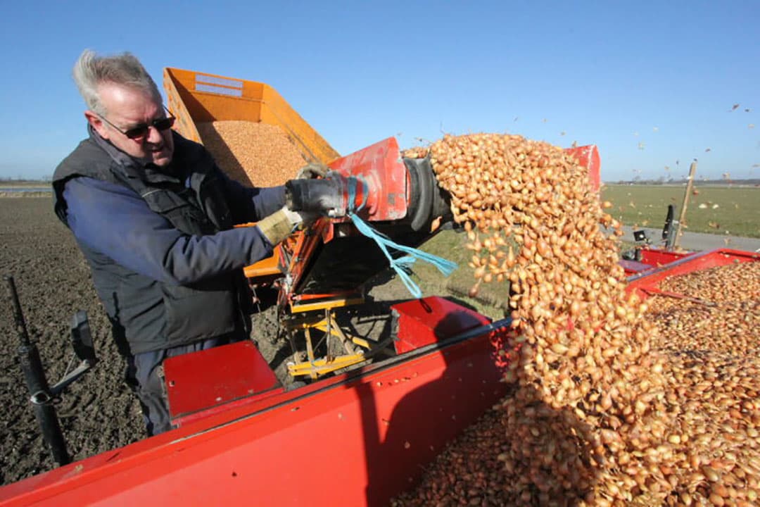 Bram Bevelander van loonbedrijf Bevelander in het Zeeuwse Kerkwerve verdeelt plantuien in de plantbak om weer een omgang te planten voor landbouwbedrijf Uyl in Zierikzee. Hij was niet de eerste die dit jaar ging planten. Een paar weken eerder zijn ook al uien over de vorst geplant. - Foto's: Anton Dingemanse