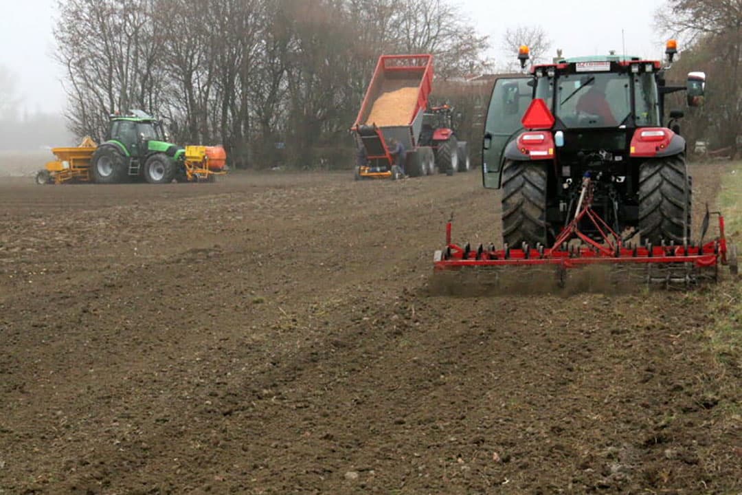 Tegelijk met het planten wordt Physiostart gegeven. Hier zijn de kleine blauwe korreltjes van de groeibevorderaar in een plantvoor te zien.