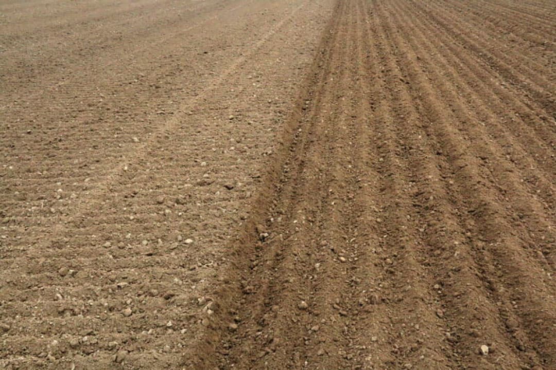 Een kleine correctie en het planten gaat weer verder.