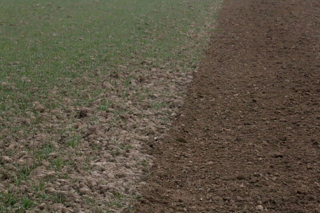 Regelmatig wordt de plantafstand in de rij gecontroleerd. Bevelander zet hier 2 meter uit om de plantafstand secuur te bepalen.