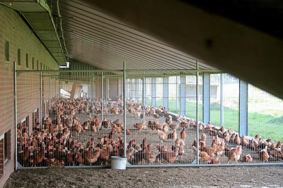 Foto: Hans Bijleveld