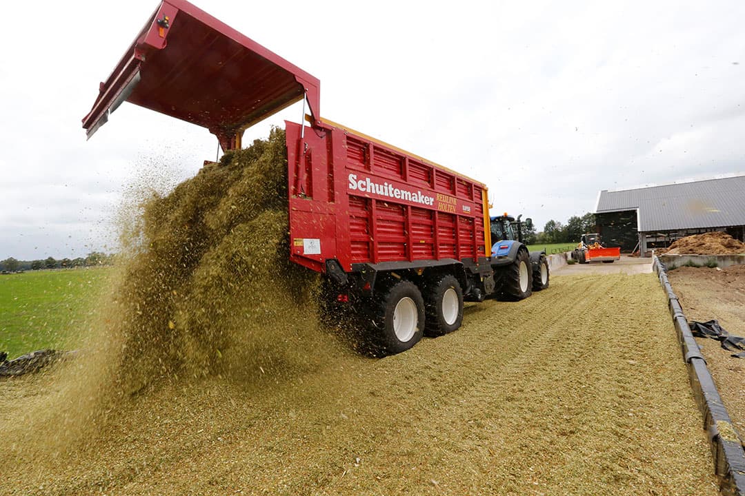 In de groep zeer vroeg en vroege rassen haalt Het nieuwe ras Farmodena heeft de hooste verhoudingsgetallen voor droge stof opbrengst en VEM-opbrengst per hectare.