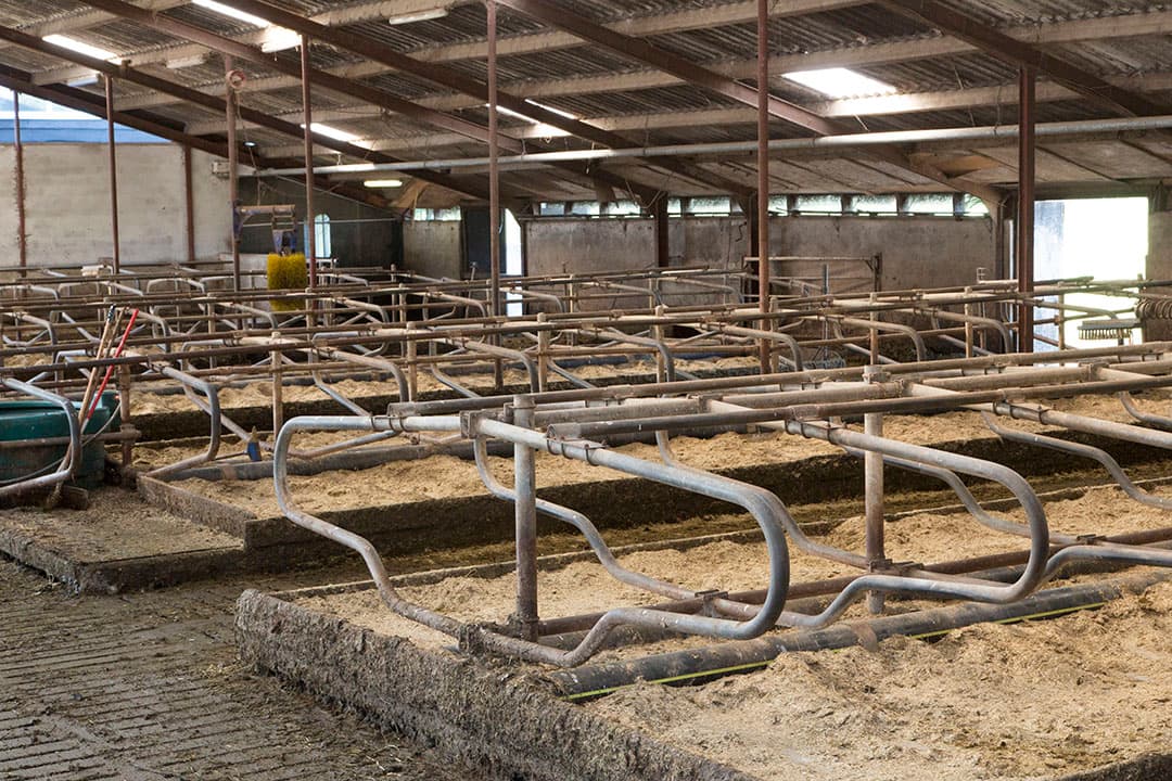 Foto: Koos Groenewold