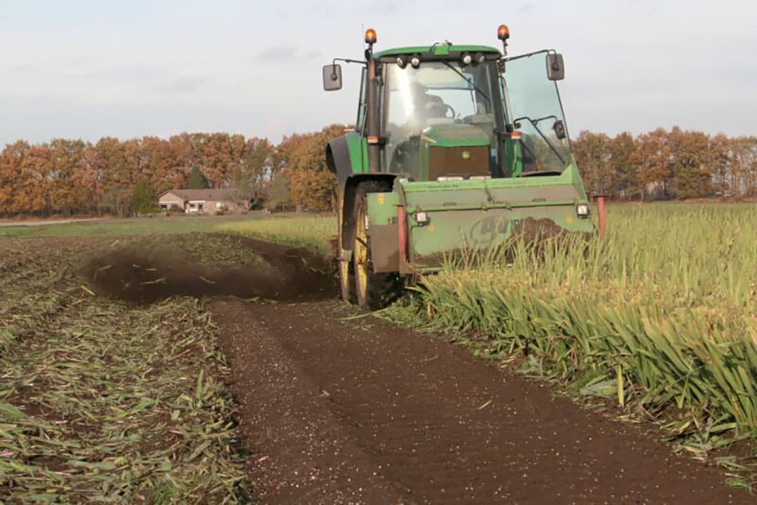 Om het loof los te trekken is een snel ronddraaiende constructie gemaakt die niet alleen het loof lostrekt maar ook de laag grond boven de knollen verwijdert. Dit hoeft dan niet door de rooier.