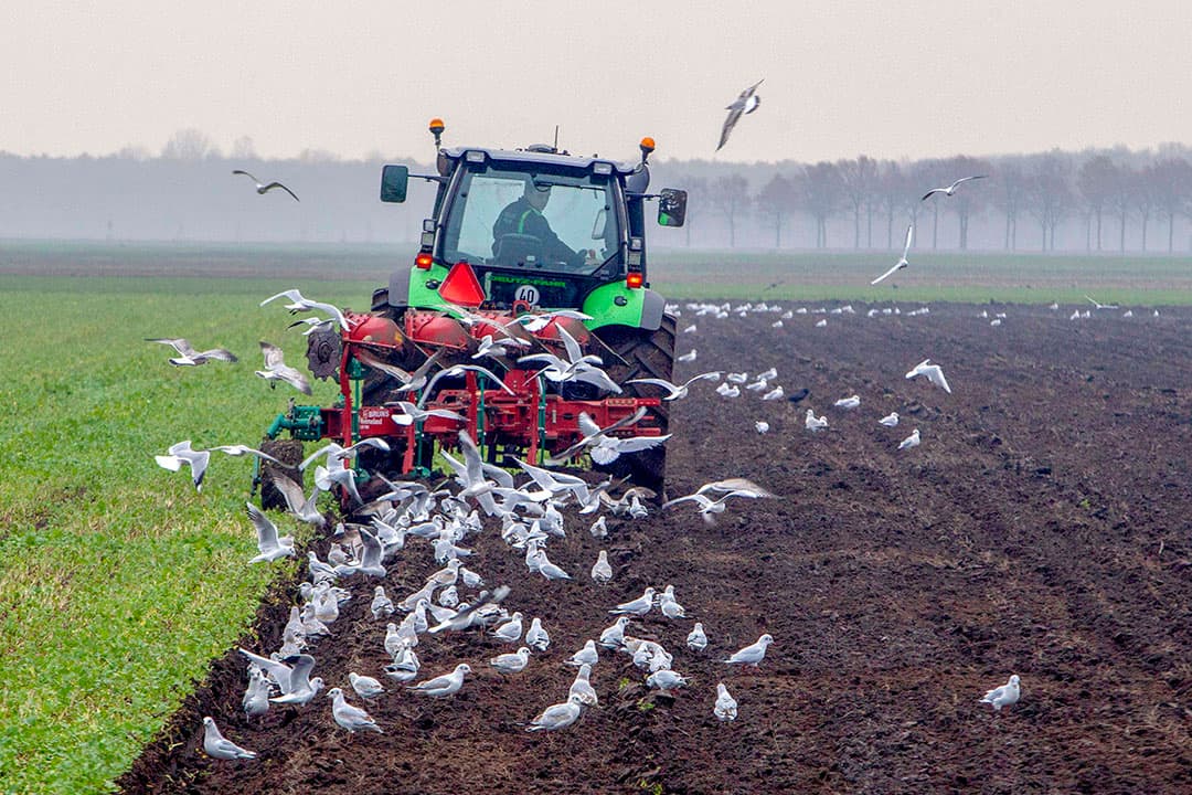 Voor loonbedrijf Boven uit Finsterwolde (Gr) zit het bietenrooiseizoen erop, dus dan rest er nog een klusje: het afspuiten van de rooier. Op naar het volgende seizoen. - Foto: Koos van der Spek